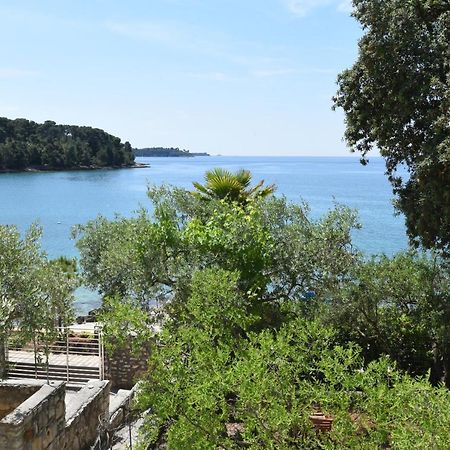 Buric House - Apartments Klasik And Studio Mini Ρόβινι Εξωτερικό φωτογραφία