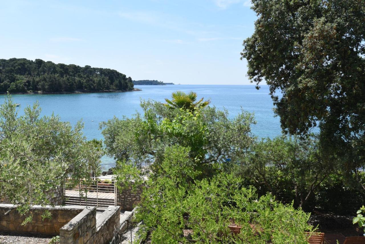 Buric House - Apartments Klasik And Studio Mini Ρόβινι Εξωτερικό φωτογραφία
